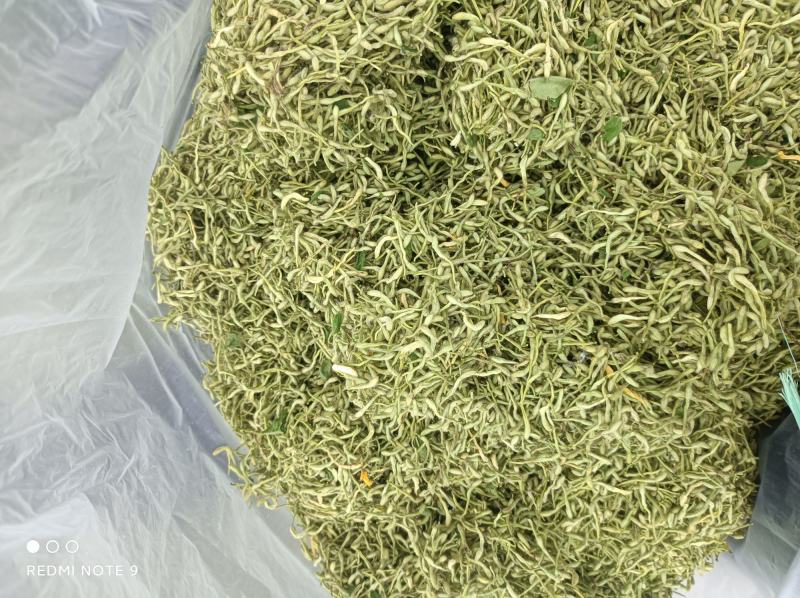 金银花色青花山东平邑地产，已色选无黄条,头茬包含量