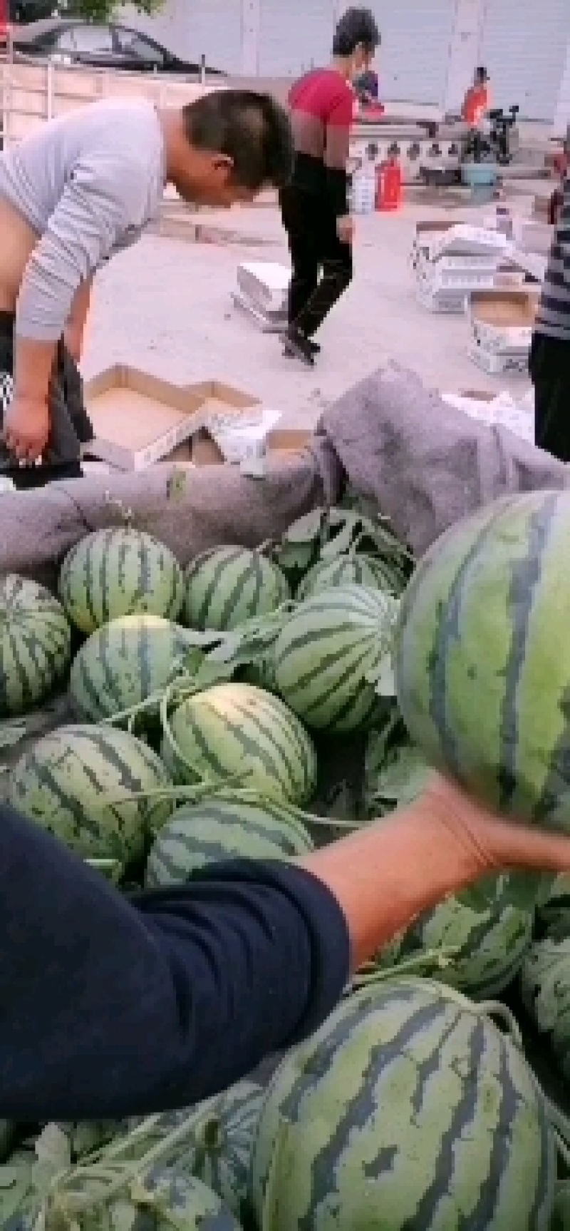 田王大量上市，口感好，质量保证