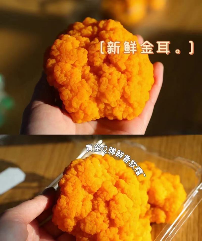 金耳是一种真菌类植物，也是一种食物。金耳是耳包革。