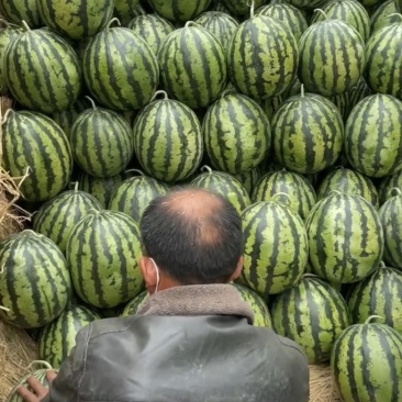 李小西瓜代发全国各地区