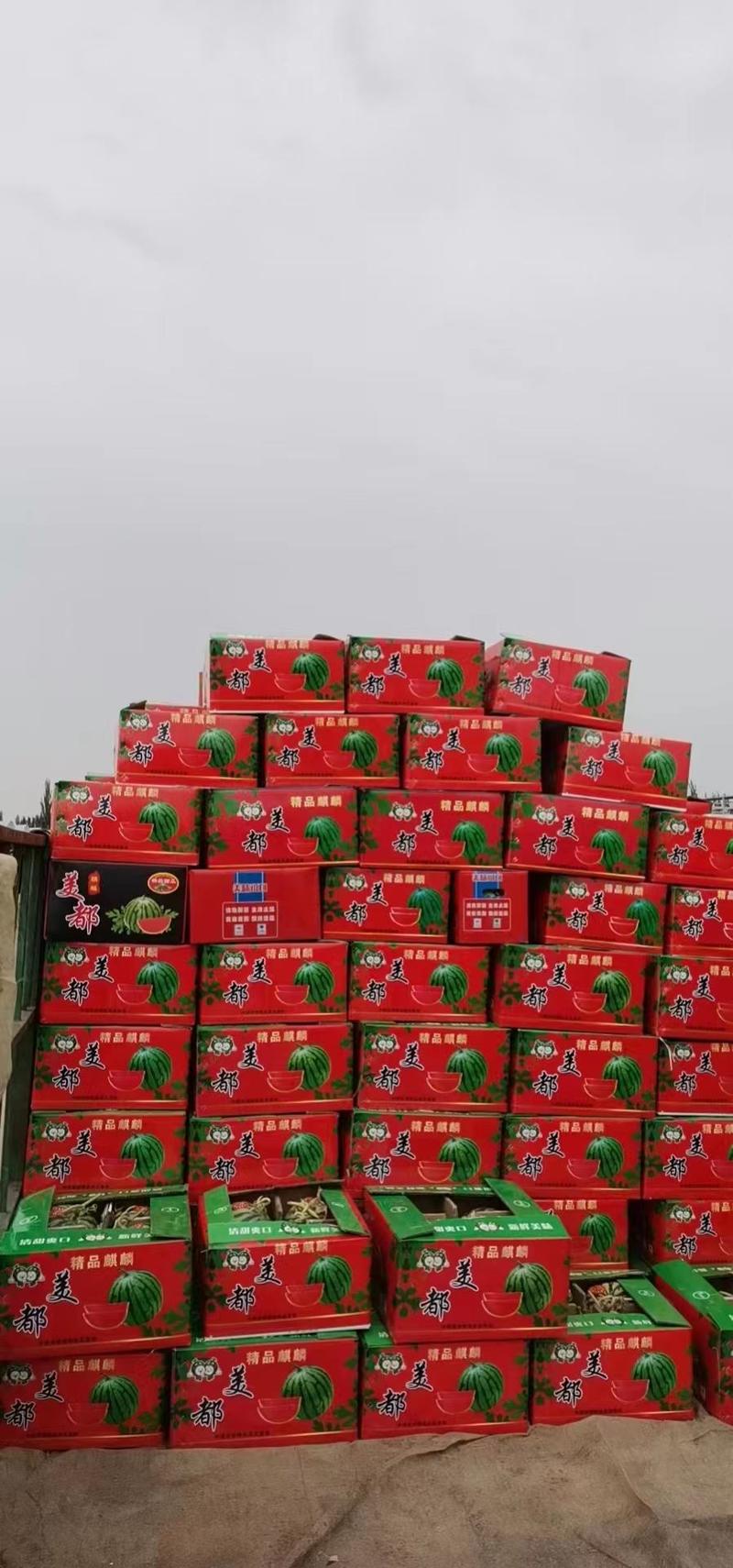 岳阳西瓜6~12斤，8424麒麟瓜电商超市优选基地直达