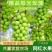阳光玫瑰，沙土沙土栽培，清香蜜甜，适宜人群大群化。回味无