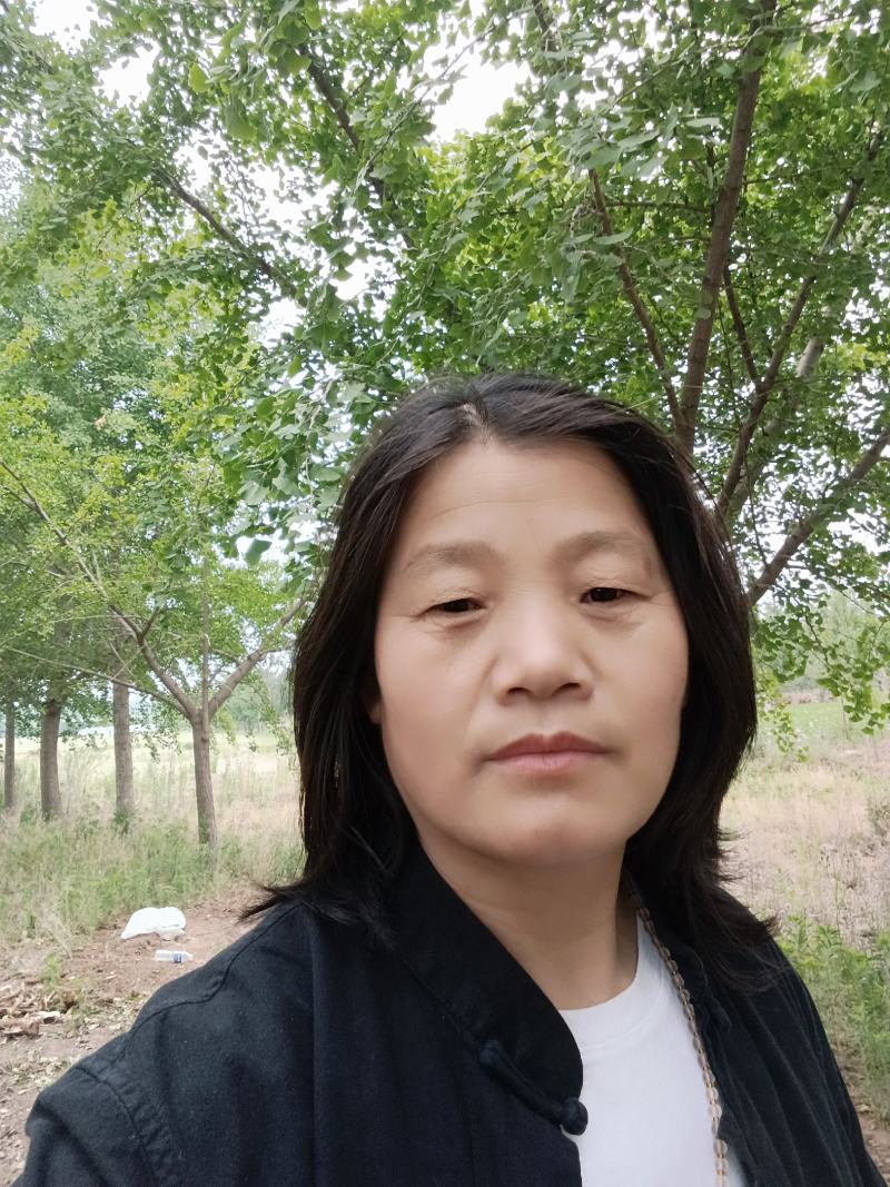 邳州苗农直销银杏基地欢迎您