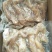 牛筋牛蹄筋冷冻鲜牛脚筋火锅水发食材20斤1件