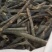 冬瓜皮冬瓜皮干冬瓜皮手选干净冬瓜皮冬瓜皮茶冬瓜茶饮料冬瓜