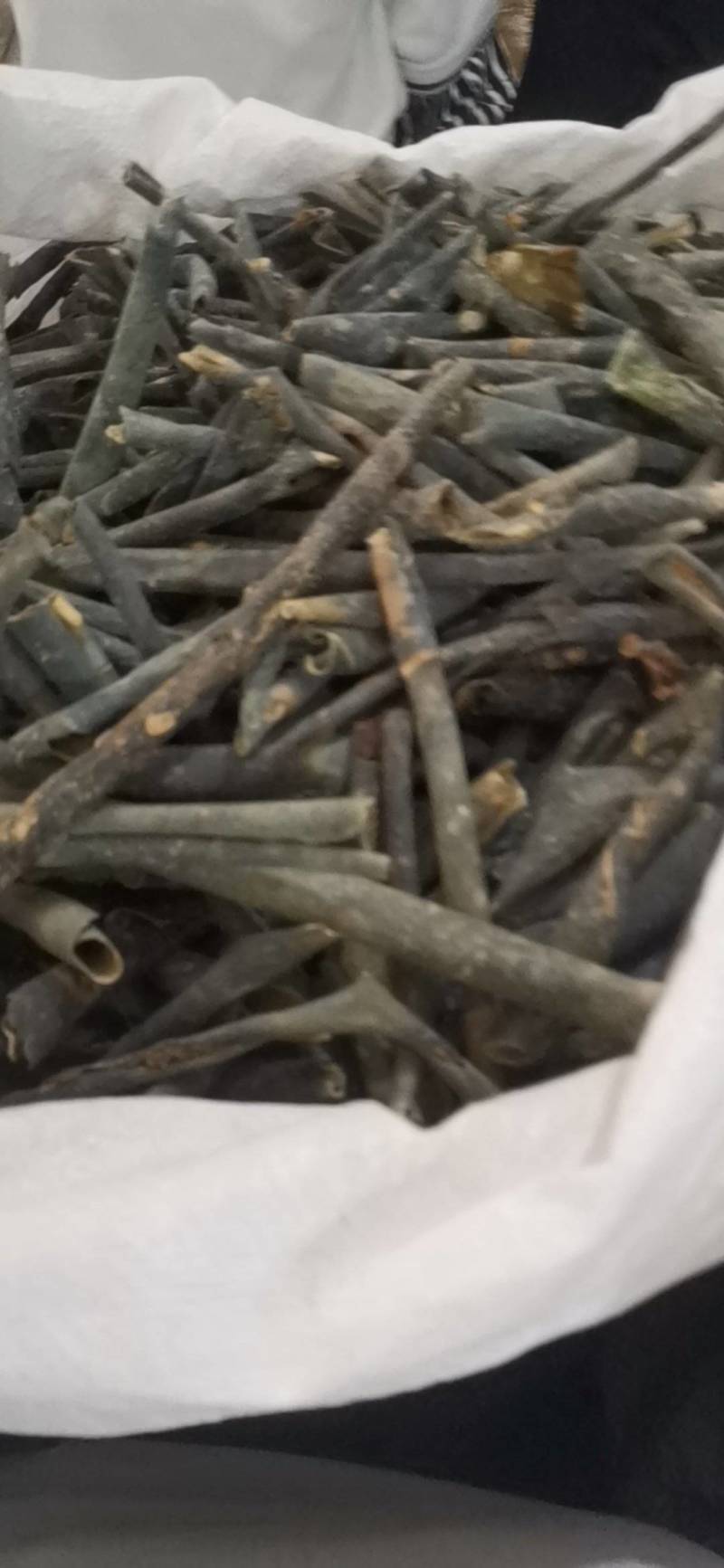 冬瓜皮冬瓜皮干冬瓜皮手选干净冬瓜皮冬瓜皮茶冬瓜茶饮料冬瓜