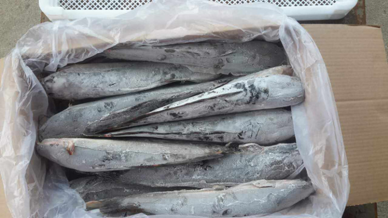 鲶鱼片鲶鱼条