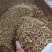 白茅根白茅根干水洗优质白茅根地道中药材白茅根