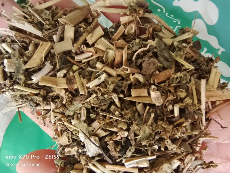 泽漆草药冷背中药材量大优惠欢迎选购