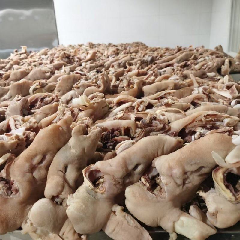 羊杂