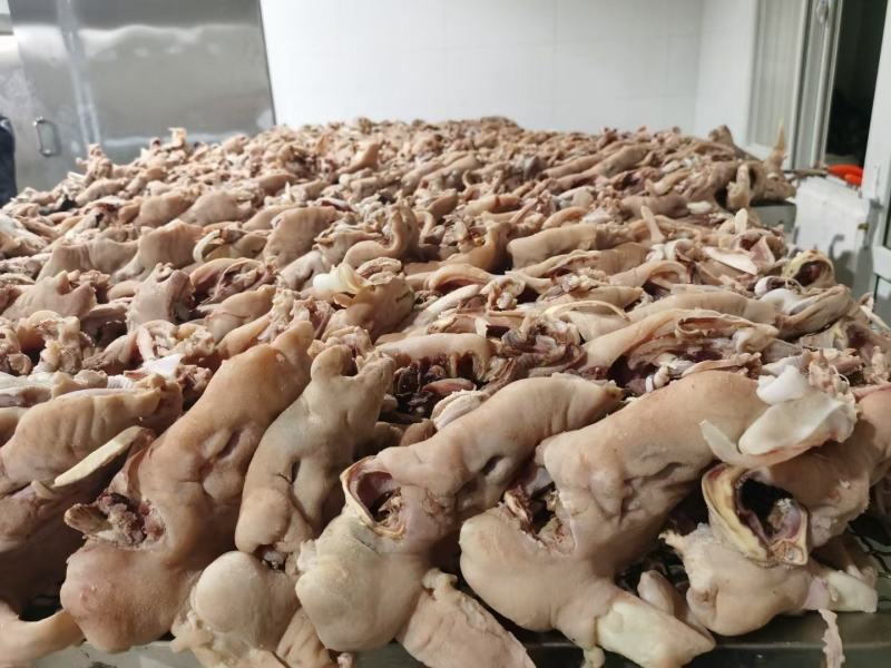 羊杂
