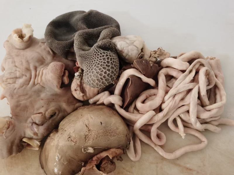 羊杂