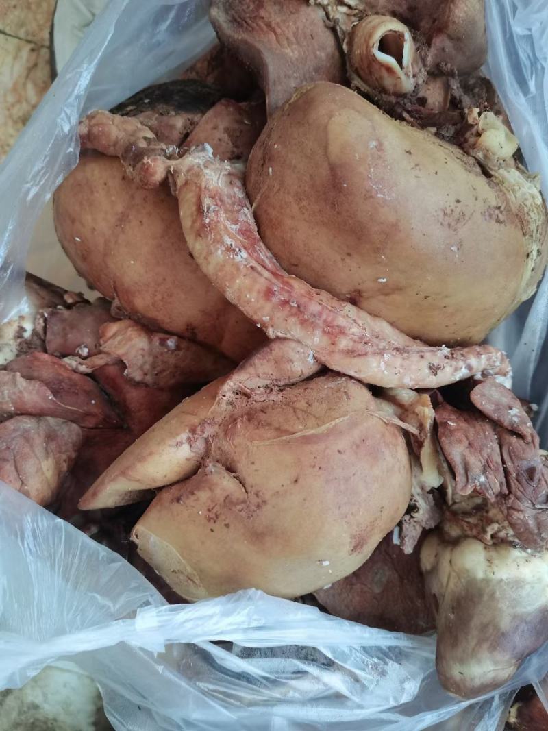 羊杂