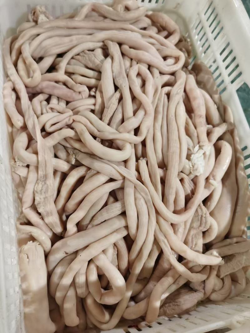 羊杂