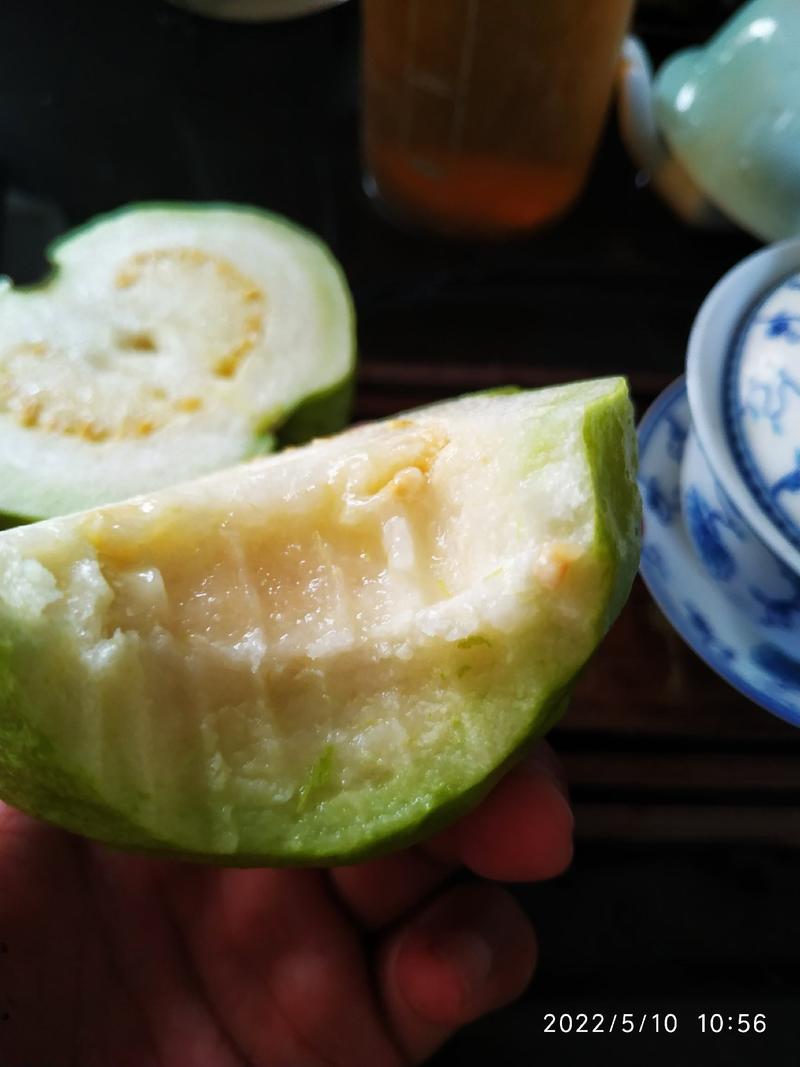 香脆爽口绿色健康水果自产自销珍珠白番石榴