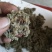 沂蒙山棉茵陈（早期货）