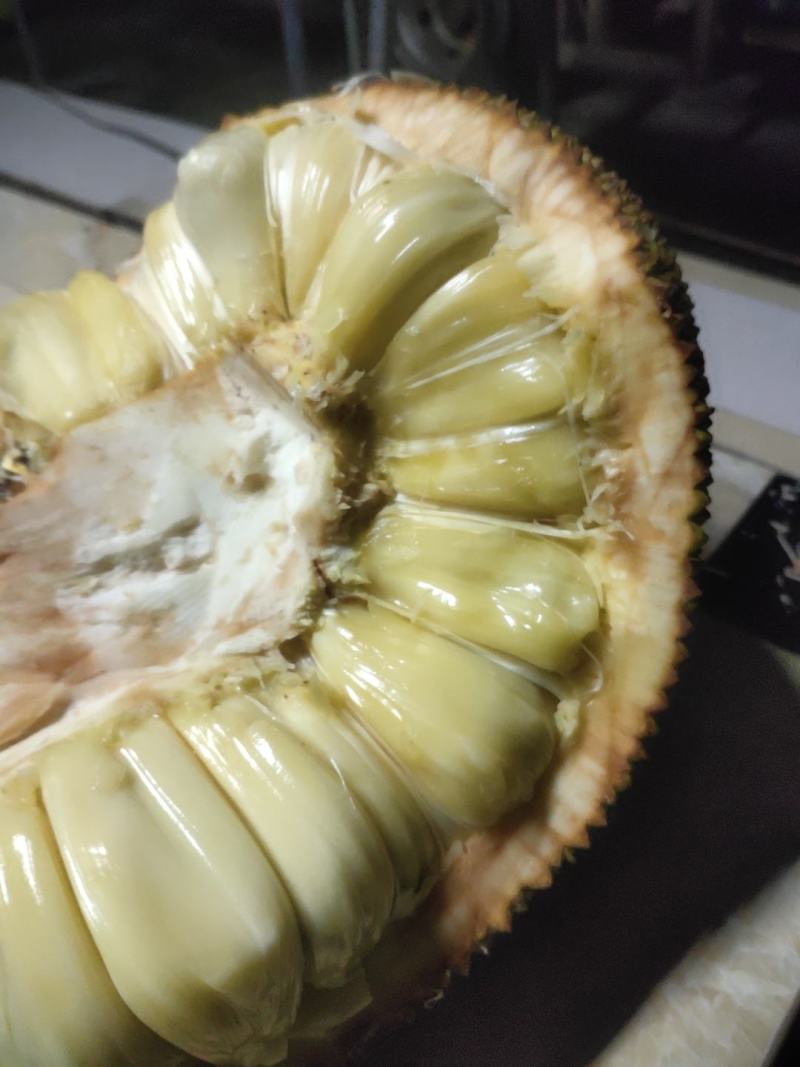 广东电白菠萝蜜