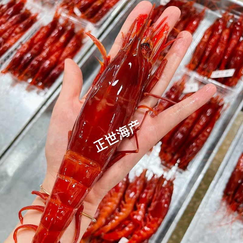 红魔虾特大甜虾刺身日料一手货源厂家批发