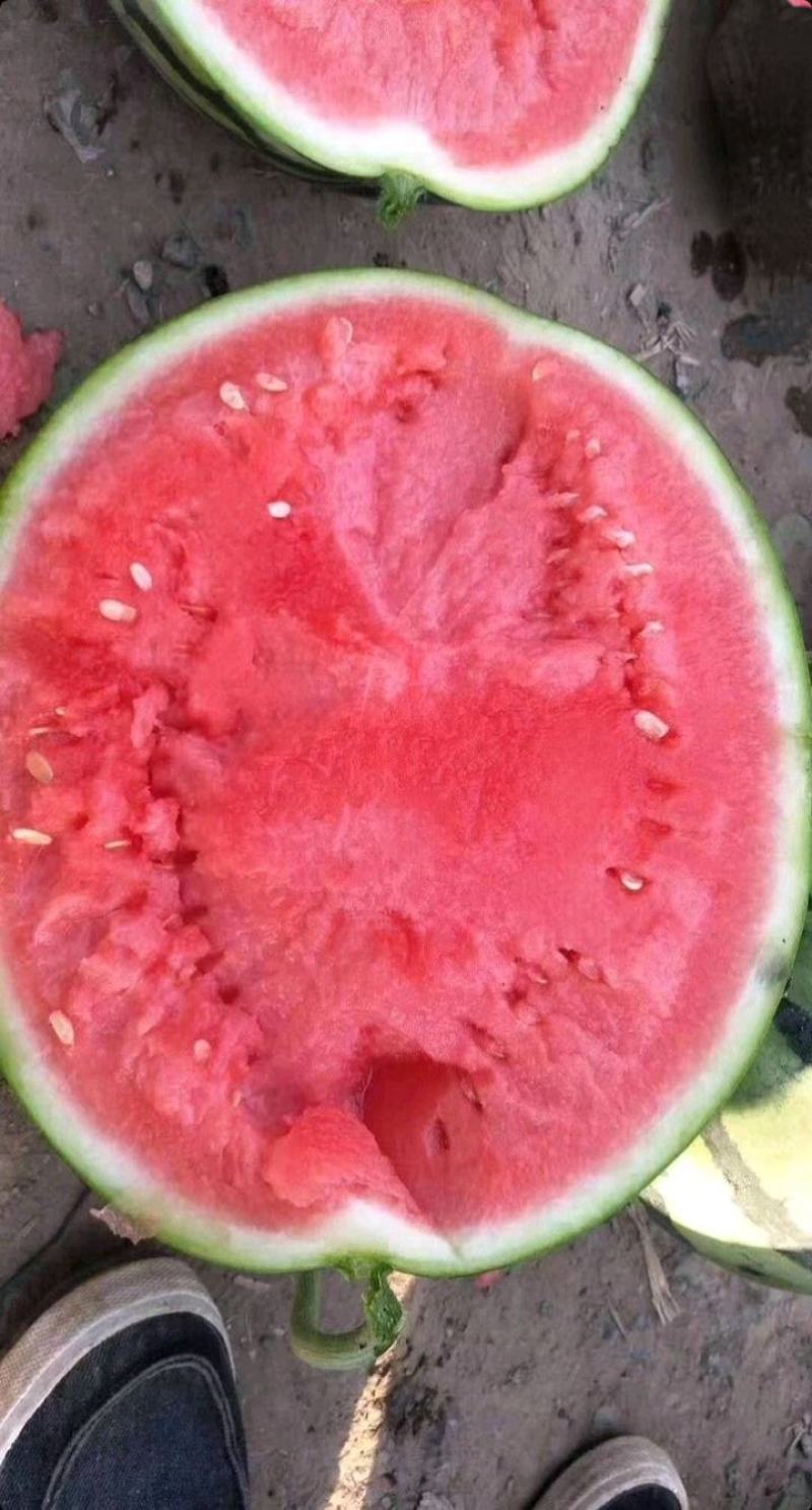 【有好货】美都西瓜8424麒麟瓜大量上市稳定货源大量供应
