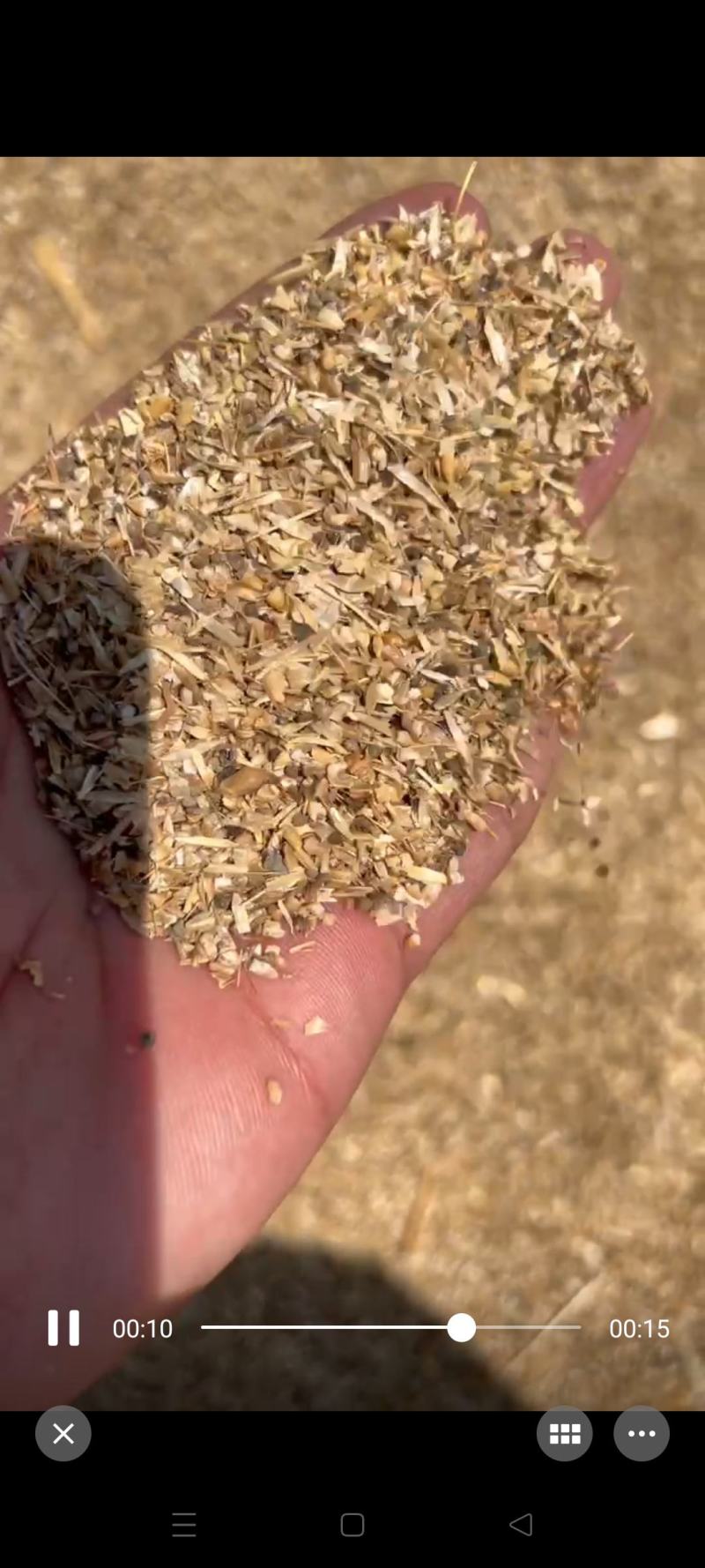 草籽麦养殖专含粮率70%常年有货鸡鸭鹅牛羊饲料