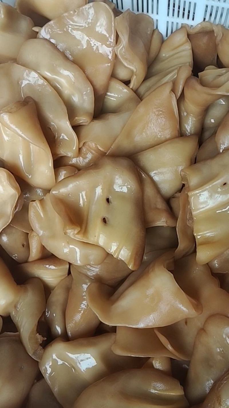 牛耳片，酱香牛耳片，长期有货，高蛋白成份，50斤一件起发