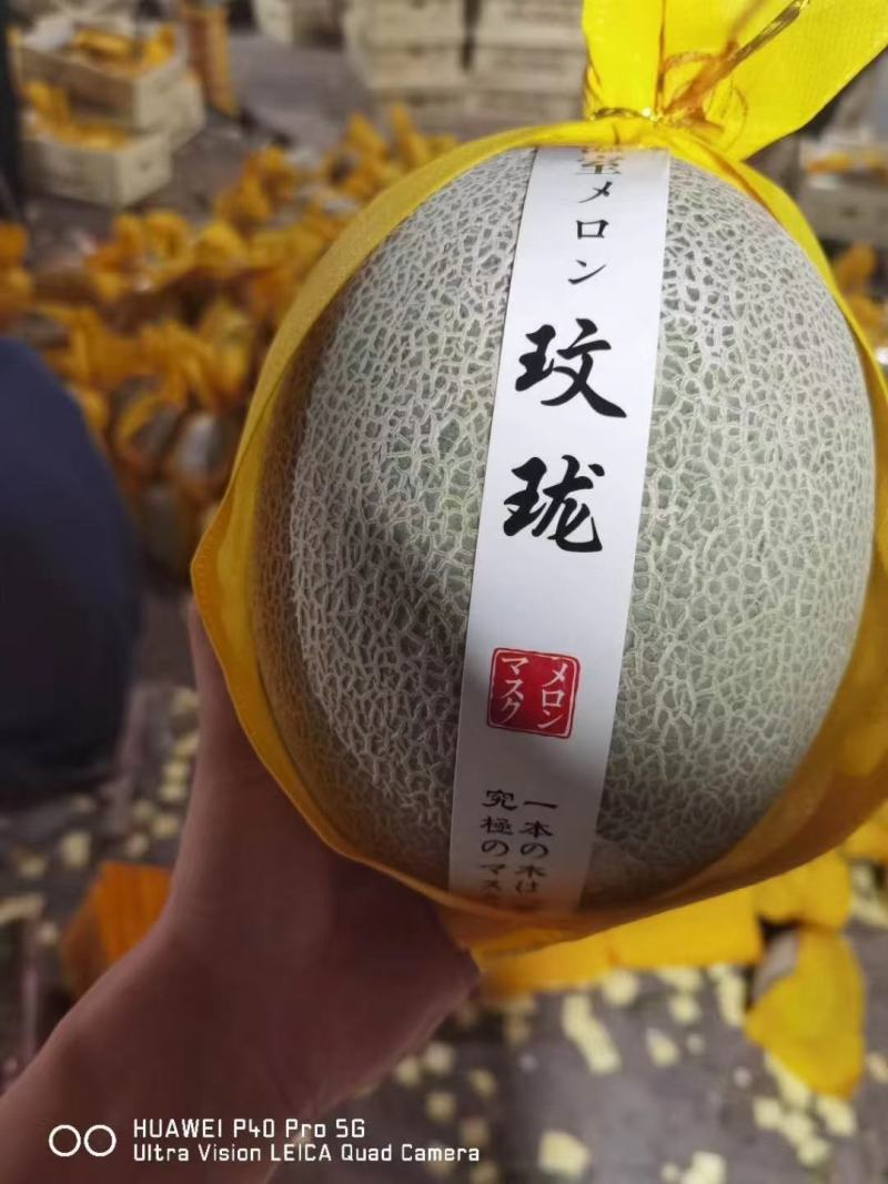 哈密瓜产地小蜜25网文瓜哈，甜如初恋，供社区团购