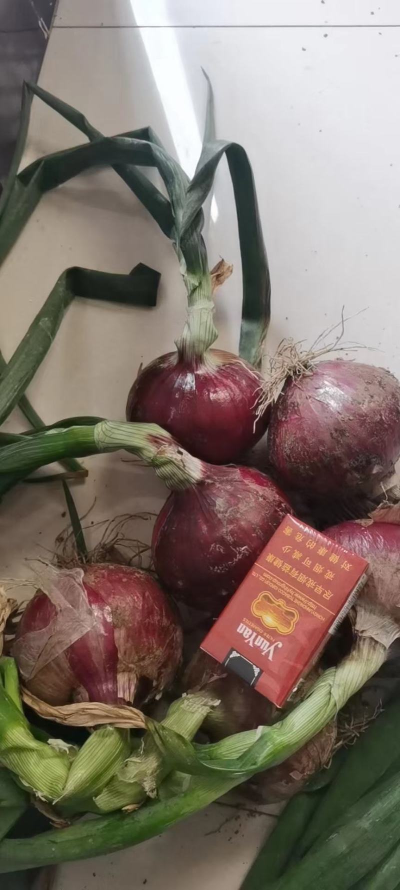 红皮洋葱紫皮洋葱大量上市。货源充足，质量保证。信誉至上