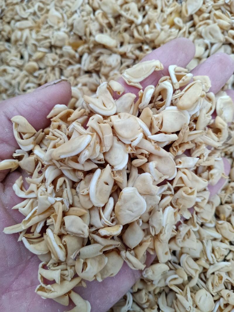 扁豆衣中药材扁豆皮白扁豆白扁豆衣质量保证，欢迎咨询！