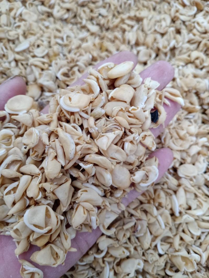 扁豆衣中药材扁豆皮白扁豆白扁豆衣质量保证，欢迎咨询！