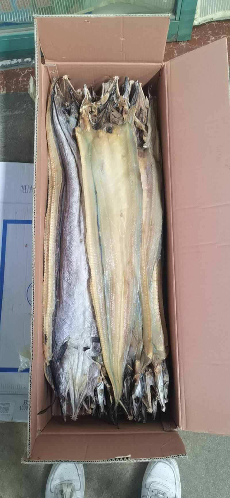 海鳗鱼甜晒鳗鱼干低盐鳗鱼干，七成干度鳗鱼干，一手货源