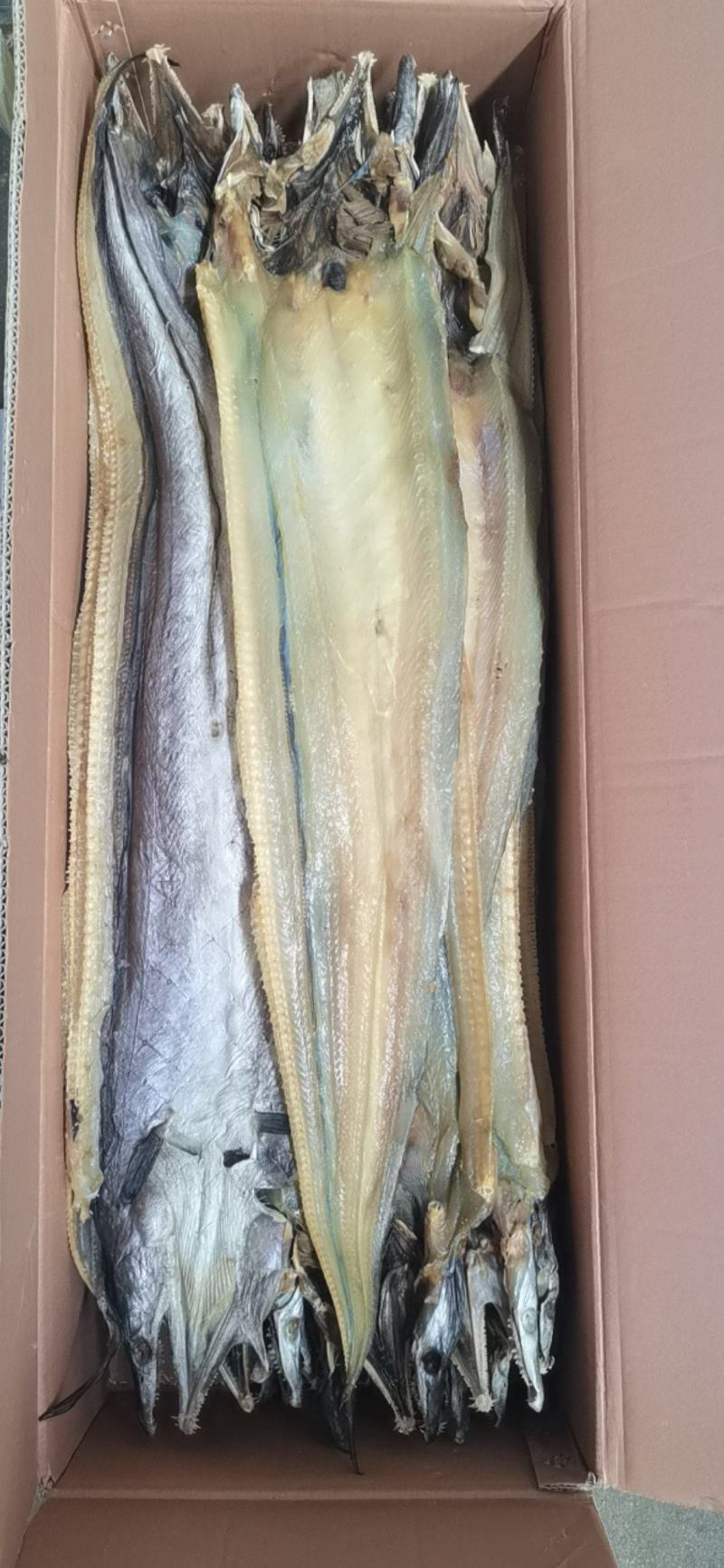 海鳗鱼甜晒鳗鱼干低盐鳗鱼干，七成干度鳗鱼干，一手货源