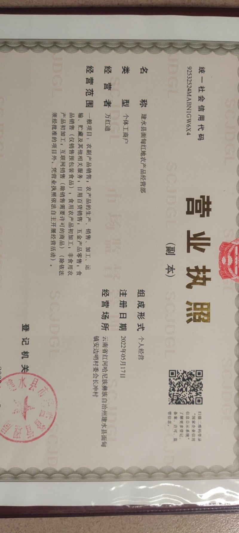 云南建水县精品紫皮洋葱大量上市，货源充足。
