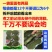 蔗糖糖艾叶糍粑艾叶粑粑湖南糯米糍粑艾叶糍粑糍粑批发包邮