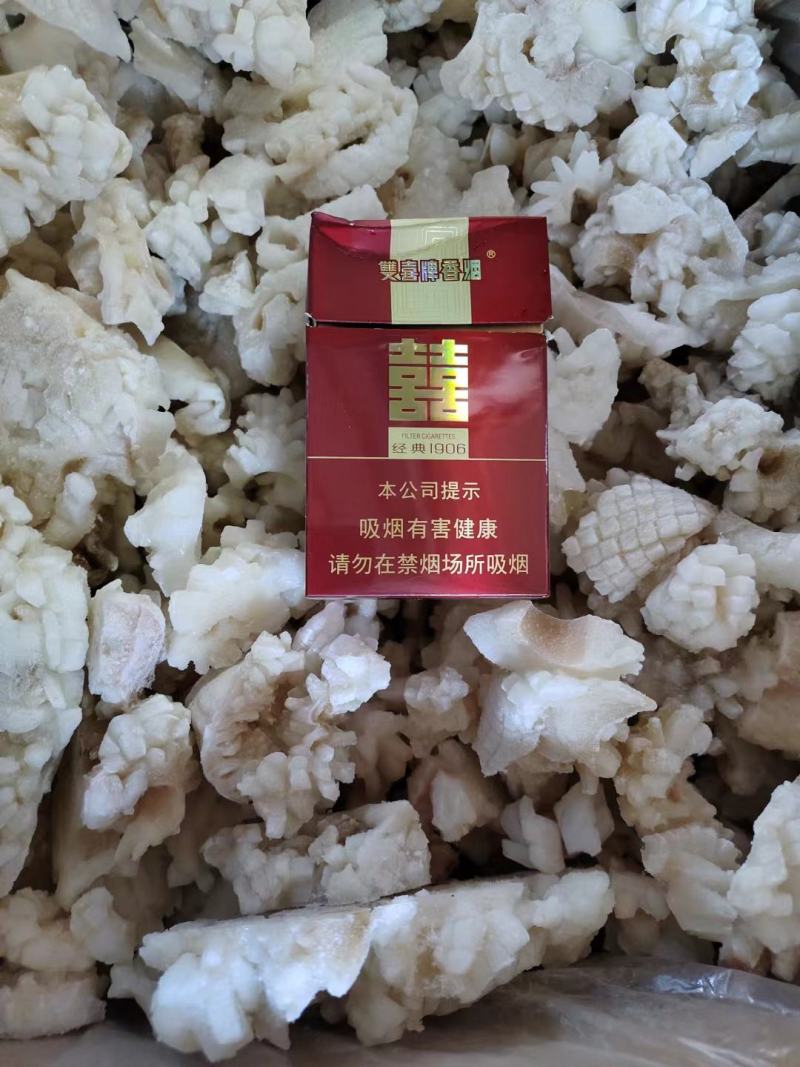 鱿鱼花