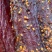 猪肉里脊肉风干里脊猪肉里脊地摊赶集摆摊展销会厂家一手货源