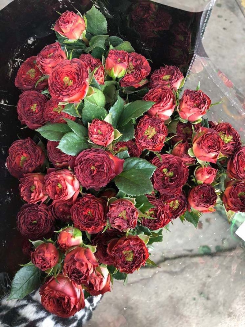 各色多头玫瑰鲜切花批发玫瑰花批发社区团购一件代发