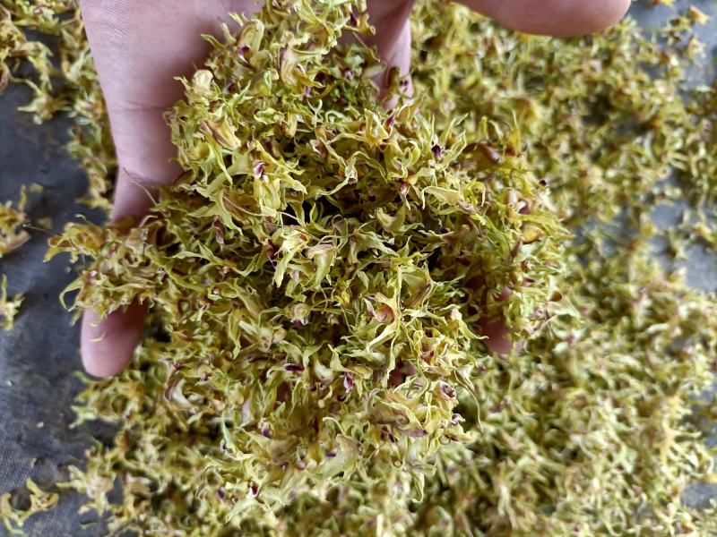 云南高原特色铁皮石斛干花，需要的联系我