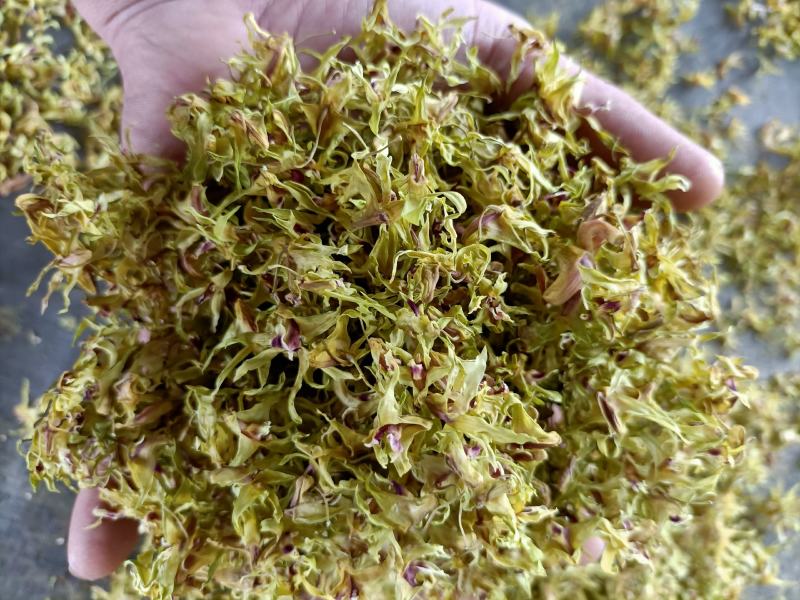 云南高原特色铁皮石斛干花，需要的联系我
