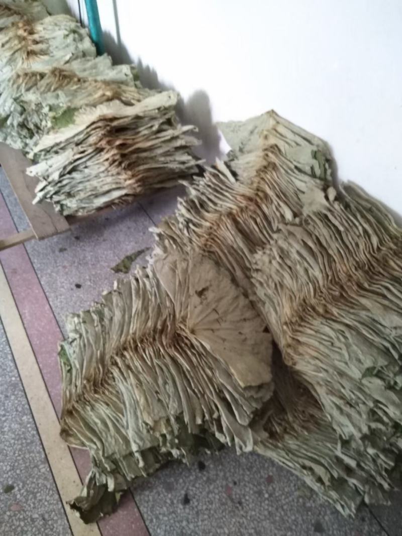 荷叶