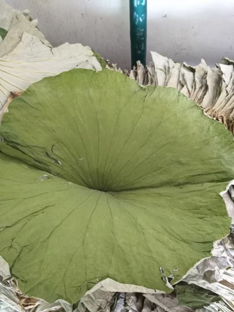 荷叶