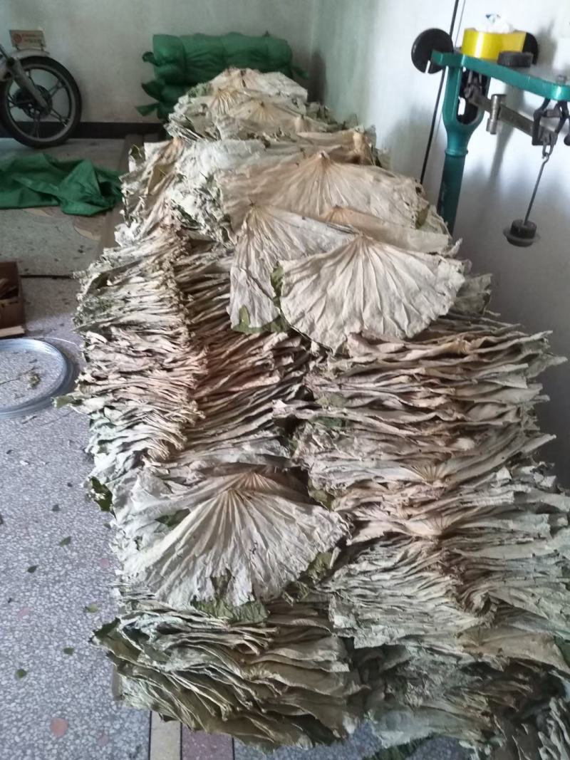 荷叶
