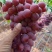 红提葡萄大量上市热销中