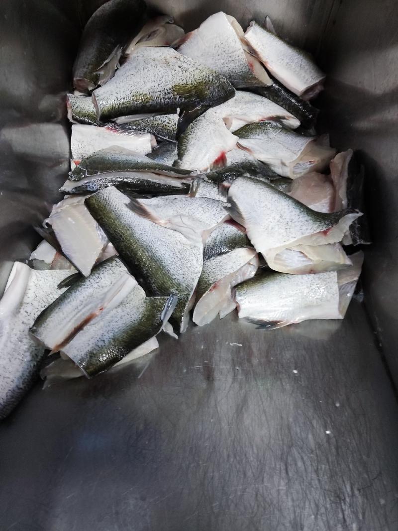 冰鲜白鲢鱼身，原料鱼，标准化生产，量大优惠