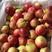 湖北桃子，毛桃，油桃，鲜红桃批发出售，欢迎您联系我。