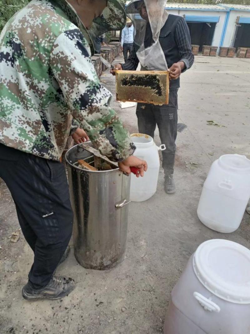 新疆哈密今年沙枣花纯蜜土蜂没有任何加工