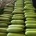绿皮西葫芦0.6斤以上、量大价优，产地直发欢迎新老顾客选
