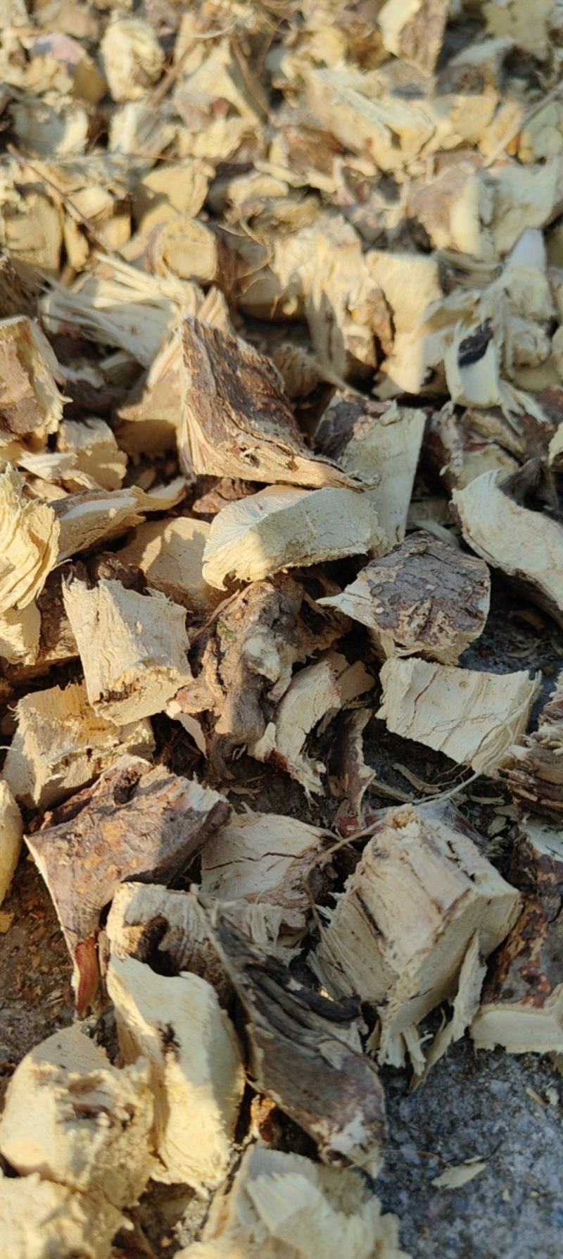 五指毛桃正宗纯野生统块头粒足干无硫新货煲汤料泡酒好货