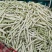 白芸豆、白不老20cm以上、九粒白芸豆大量供应，保证质量