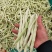 白芸豆、白不老20cm以上、九粒白芸豆大量供应，保证质量