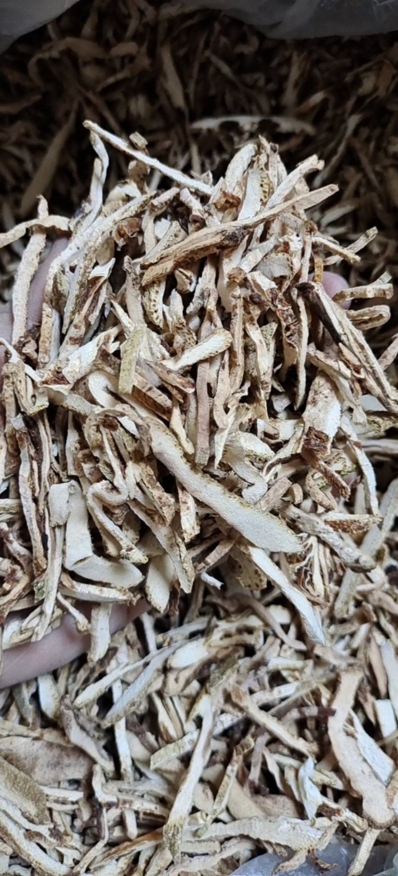 香橼香橼丝产地广西地道药材今年新货紫轩堂药业